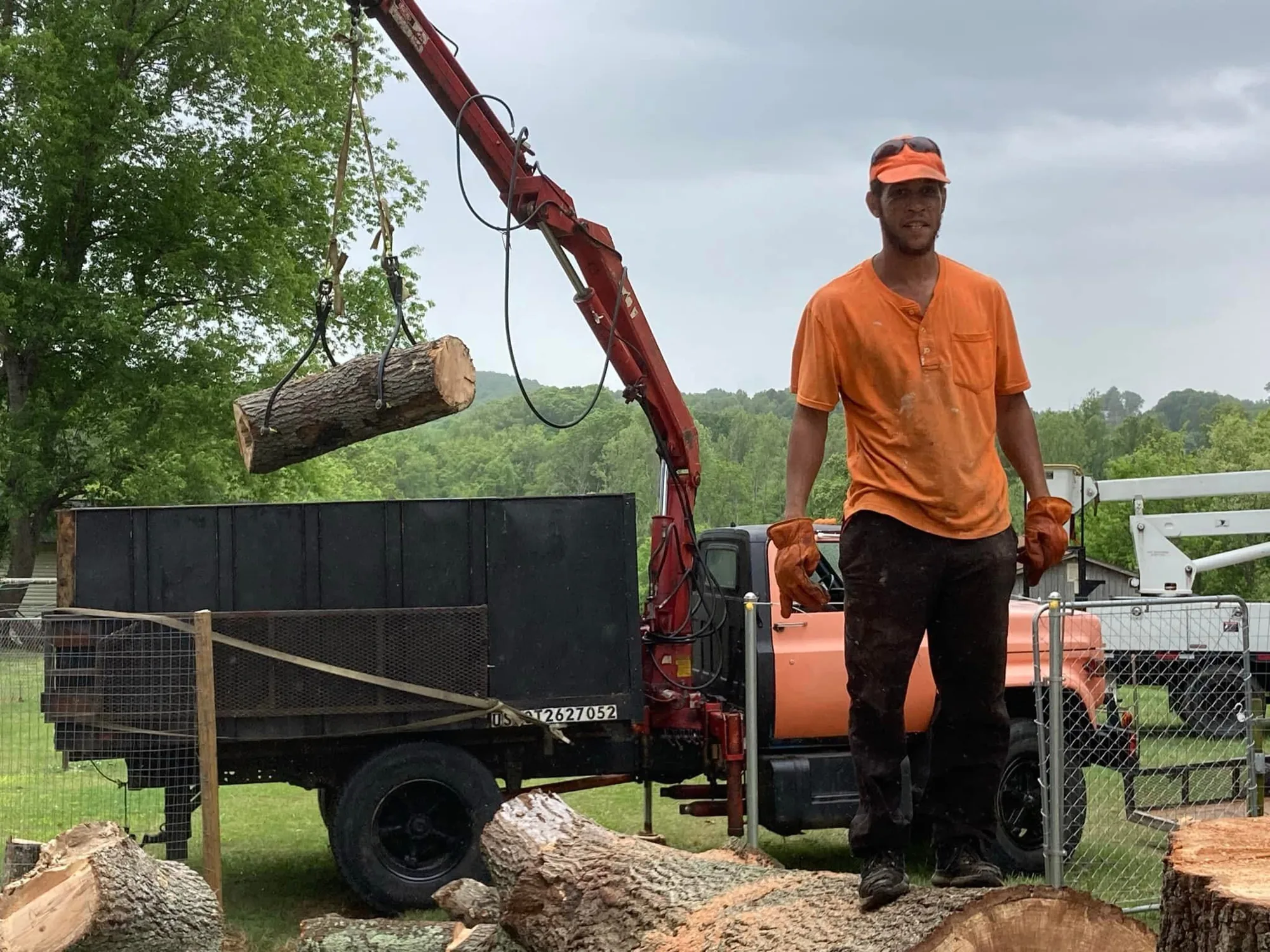 Friendly Tree Service crew member performing a tree removal with crane equipment.