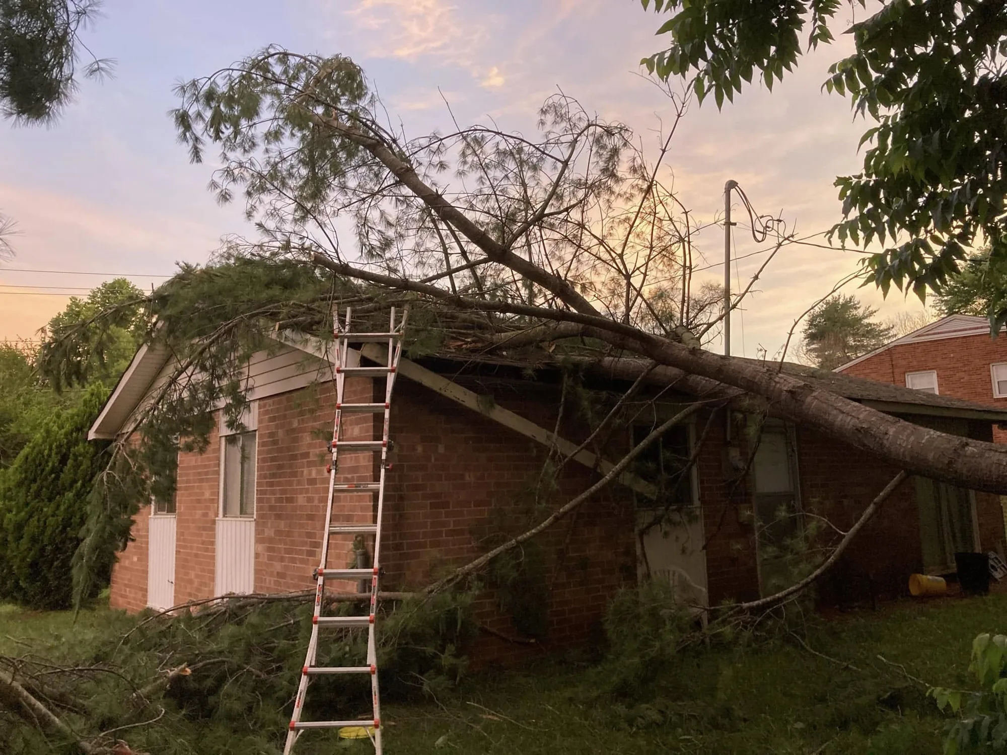 Large storm-damaged tree fallen across the roof of a home, handled by Friendly Tree Service.