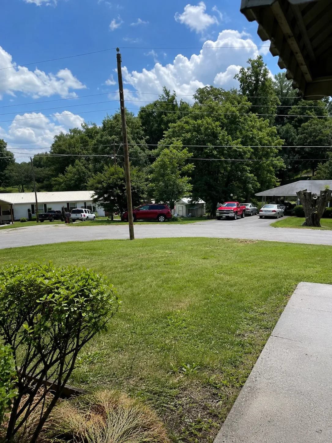 After: fallen tree removed and yard cleared