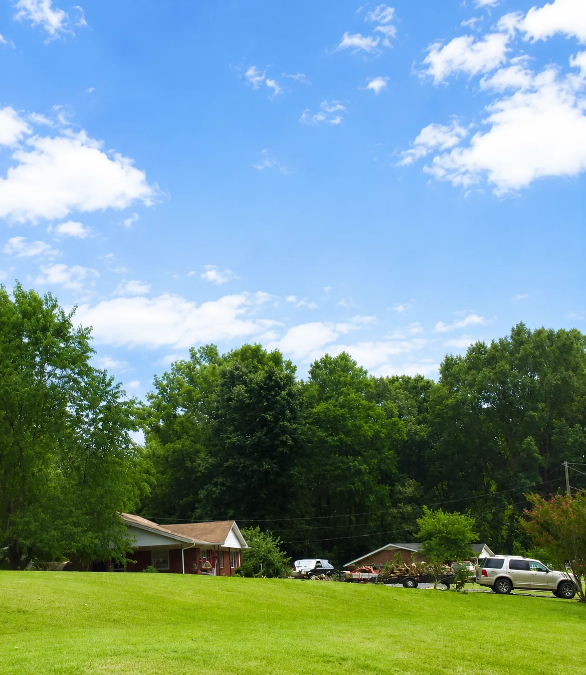 After: large tree removed and yard cleared